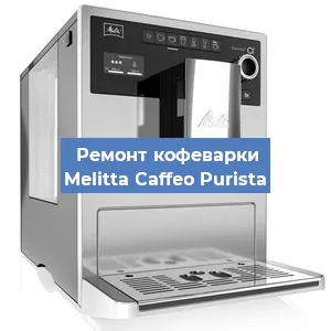 Чистка кофемашины Melitta Caffeo Purista от кофейных масел в Москве